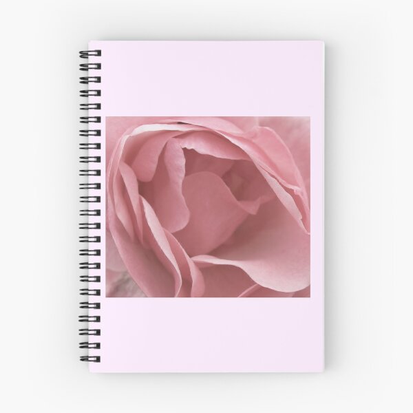 Item preview, DUSKY PALE PINK ENGLISH ROSE FLOWER designed and sold by Richard Brookes Photography.