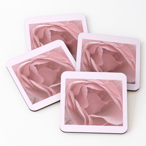 Item preview, DUSKY PALE PINK ENGLISH ROSE FLOWER designed and sold by Richard Brookes Photography.