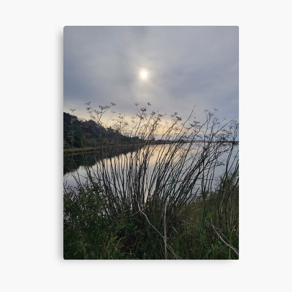 Item preview, Coastal Reverie designed and sold by Eye of I.