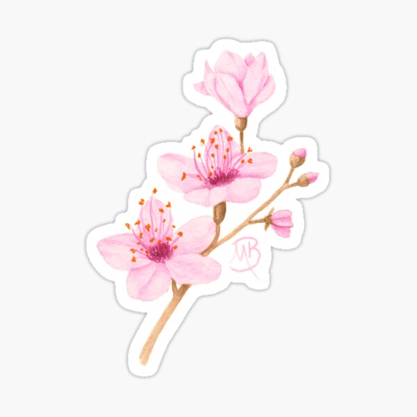 Cherry Blossom Sticker