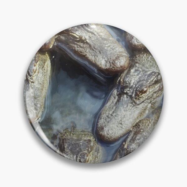 Item preview, Gators,Gators and more Gators St Augustine x100 designed and sold by RichFrancoCars.