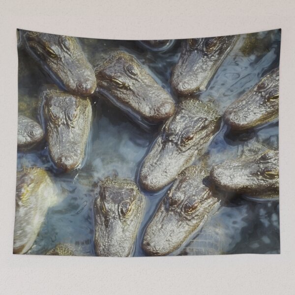 Item preview, Gators,Gators and more Gators St Augustine x100 designed and sold by RichFrancoCars.