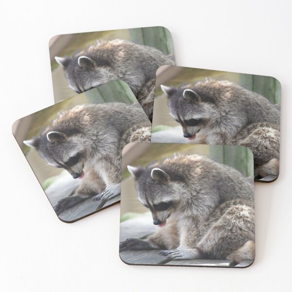 Item preview, Racoon designed and sold by JRFotography.