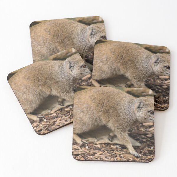 Item preview, Mongoose 2 designed and sold by JRFotography.