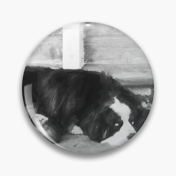 Artikelvorschau, Berner Sennenhund Aspen X101 entworfen und verkauft von RichFrancoCars.