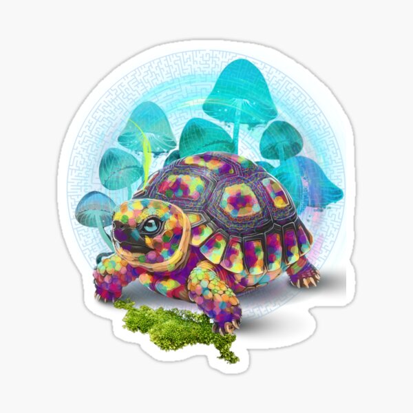 Secrets of the Tortoise Sticker