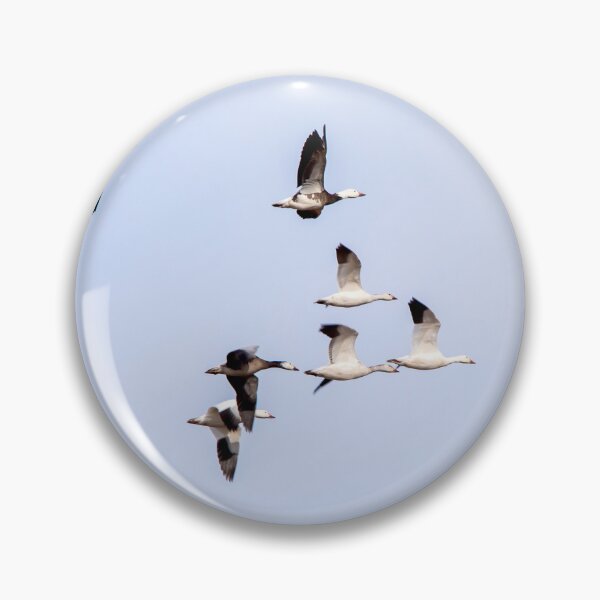 Item preview, Snow geese flying in a "V".  designed and sold by KRFNatureGifts.
