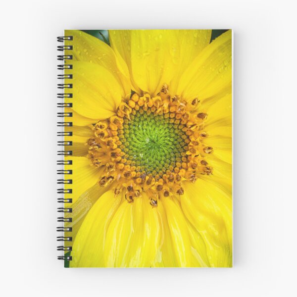 Item preview, Happy Sunflowers Helianthus Abstract X262 designed and sold by RichFrancoCars.