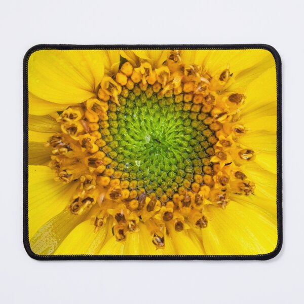 Item preview, Happy Sunflowers Helianthus Abstract X262 designed and sold by RichFrancoCars.