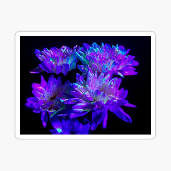 Item preview, Flowers lit under ultra violet light designed and sold by Martin Fenton.