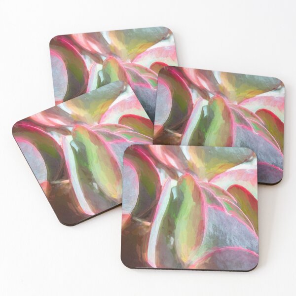 Item preview, Flapjack Plant Kalanchoe X122 designed and sold by RichFrancoCars.