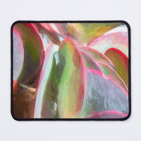 Item preview, Flapjack Plant Kalanchoe X122 designed and sold by RichFrancoCars.