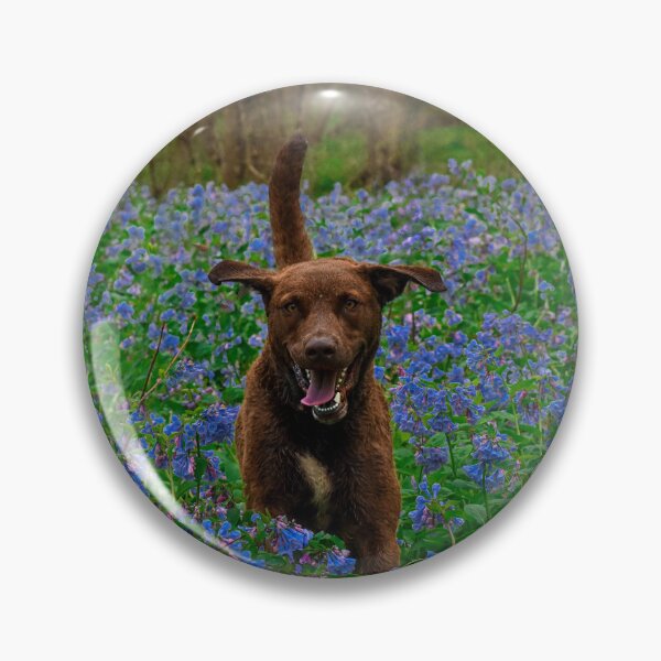 Item preview, Happy Chessie designed and sold by Carbon Based Lifeforms.