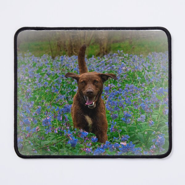 Item preview, Happy Chessie designed and sold by Carbon Based Lifeforms.