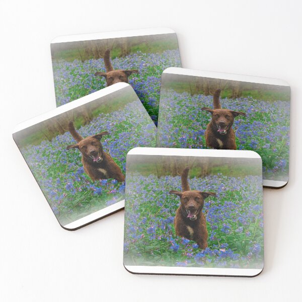 Item preview, Happy Chessie designed and sold by Carbon Based Lifeforms.