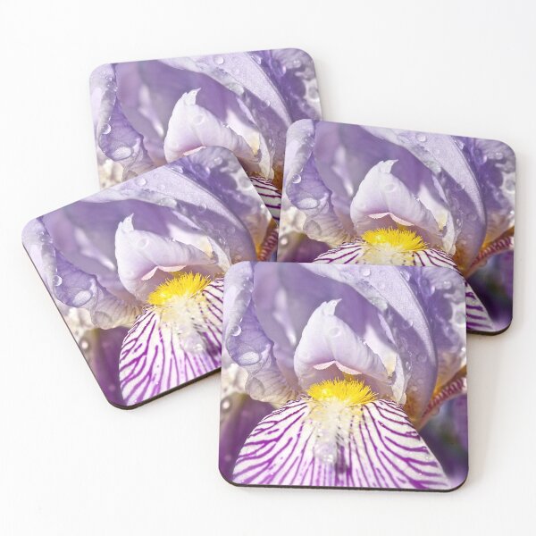 Aperçu de l'œuvre Iris sous la pluie créée et vendue par Linda Bianic.