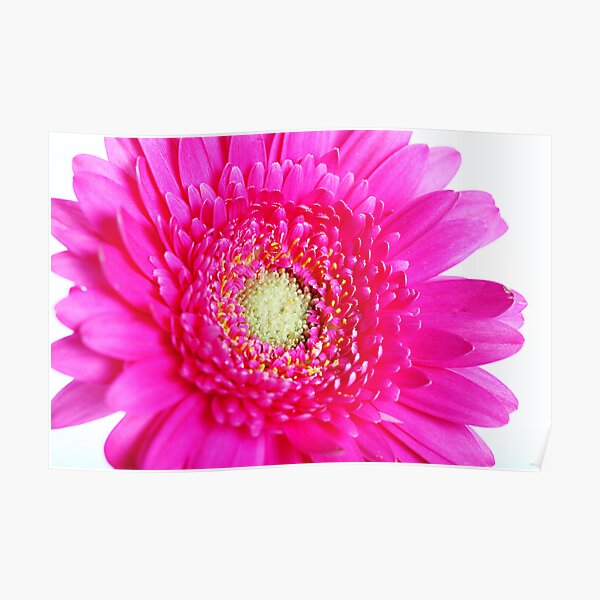 Colour Burst Poster