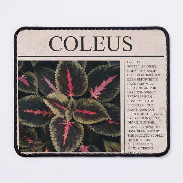 Item preview, COLEUS designed and sold by must-have-it.