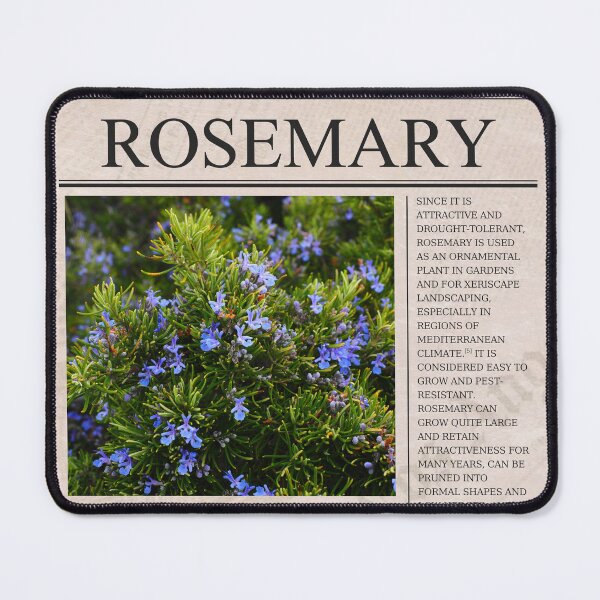 Item preview, ROSEMARY designed and sold by must-have-it.