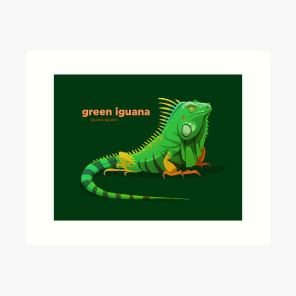 Item preview, Green Iguana (Iguana Iguana) designed and sold by EstudioToona.