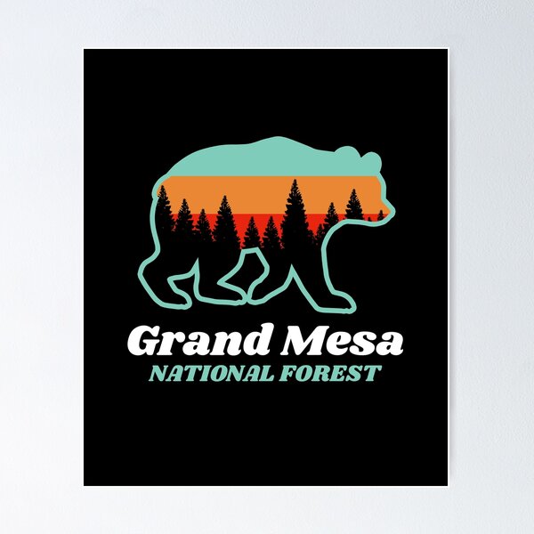 Aperçu de l'œuvre Cadeau de vacances dans la forêt nationale de Grand Mesa créée et vendue par Guarddogdrive.