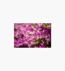 Floral 41 Art Board