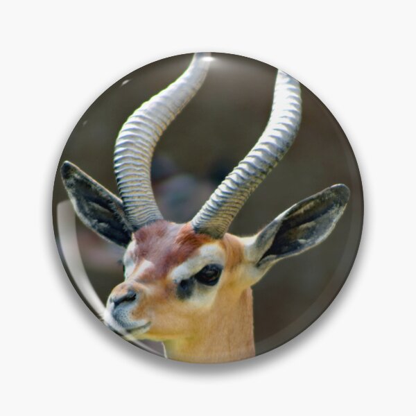 Item preview, Los Angeles Zoo designed and sold by supernova23.