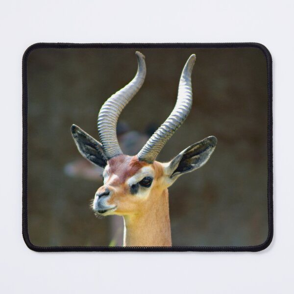 Item preview, Los Angeles Zoo designed and sold by supernova23.