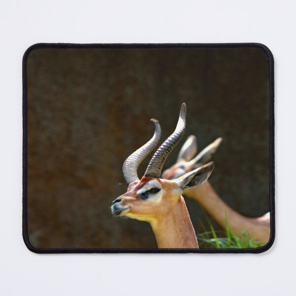 Item preview, Los Angeles Zoo designed and sold by supernova23.