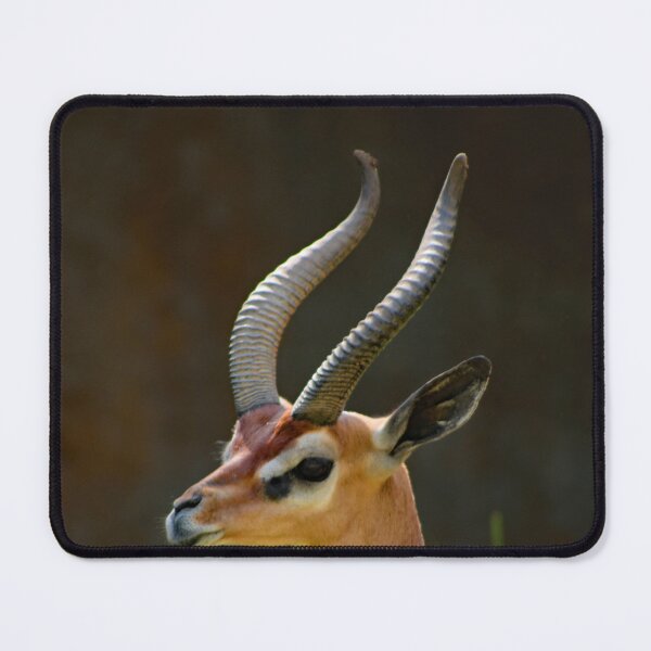 Item preview, Los Angeles Zoo designed and sold by supernova23.