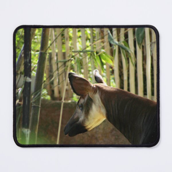 Item preview, Los Angeles Zoo designed and sold by supernova23.