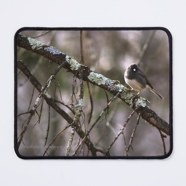 Item preview, Determination of The Dark Eyed Junco designed and sold by ForestWanderersArt.