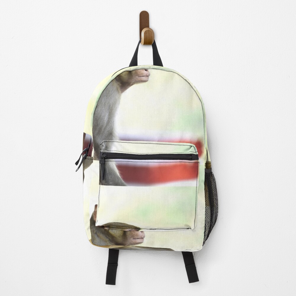 Item preview, Backpack designed and sold by Rav33822.