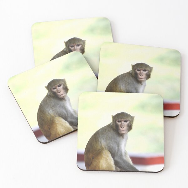 Item preview, A Monkey designed and sold by Rav33822.