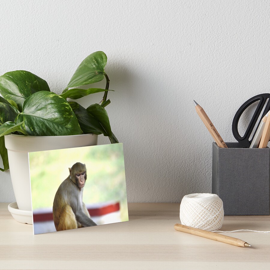 Item preview, Art Board Print designed and sold by Rav33822.