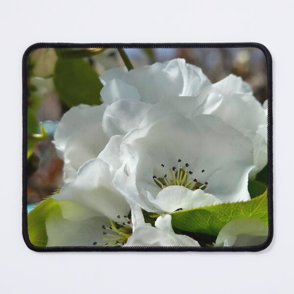 Item preview, Prairie Gem Pear designed and sold by Betsy Phillips.