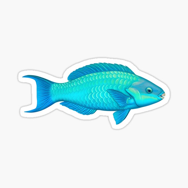 Item preview, 80 species of parrot-fishes swim in coral reefs around the world designed and sold by wonderisland.