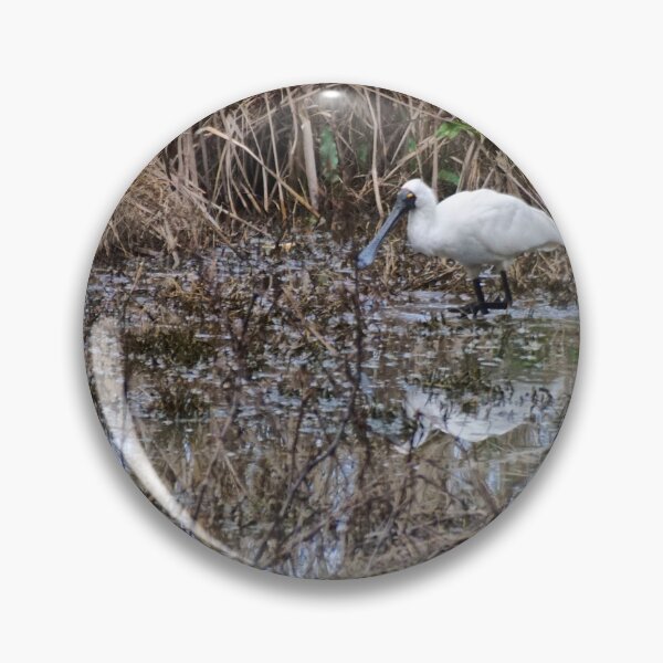Item preview, Royal Spoonbill designed and sold by D-GaP.