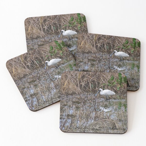 Item preview, Royal Spoonbill designed and sold by D-GaP.