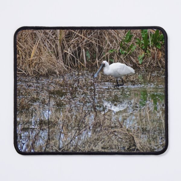 Item preview, Royal Spoonbill designed and sold by D-GaP.