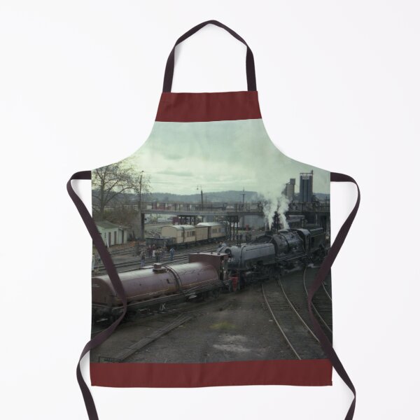 Item preview, Beyer Garrett Steam Engine @ Albury, Australia 19800615 designed and sold by muz2142.