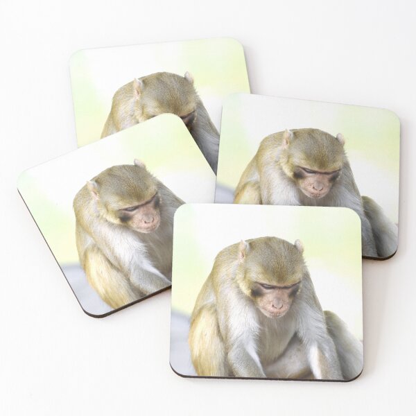 Item preview, A monkey designed and sold by Rav33822.