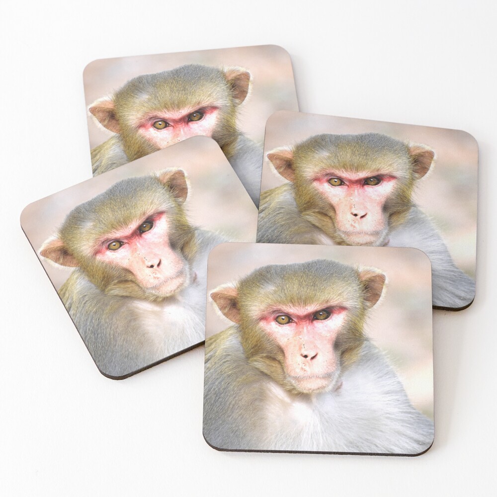 Item preview, Coasters (Set of 4) designed and sold by Rav33822.