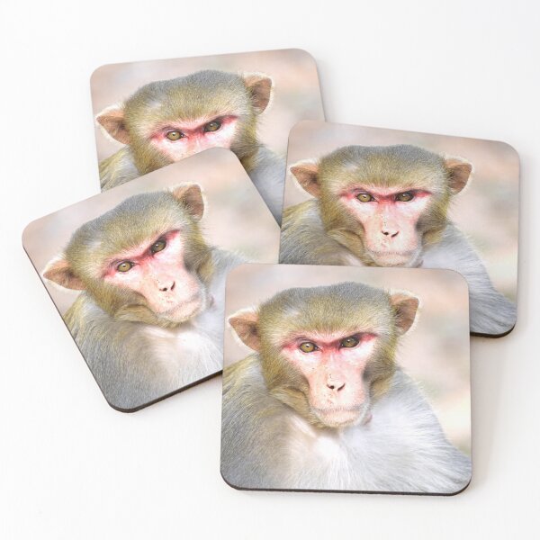 Item preview, A monkey designed and sold by Rav33822.