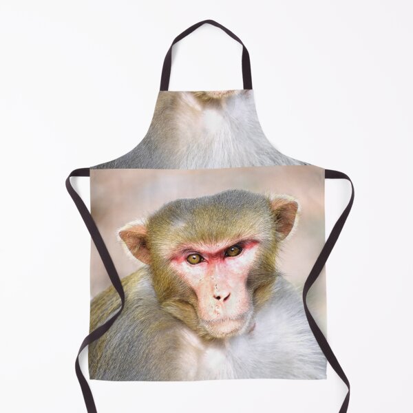 Item preview, A monkey designed and sold by Rav33822.