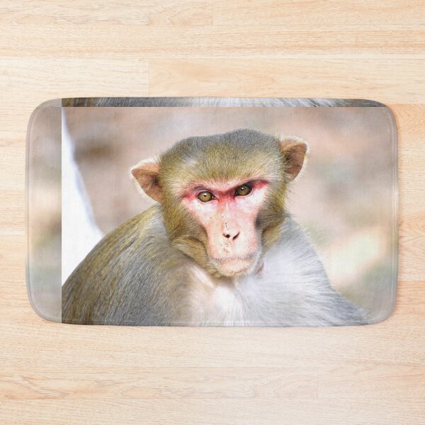 Item preview, A monkey designed and sold by Rav33822.