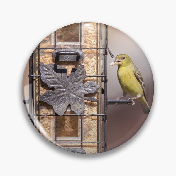 Item preview, Goldfinch Helps Himself To A Seed designed and sold by CarolM.