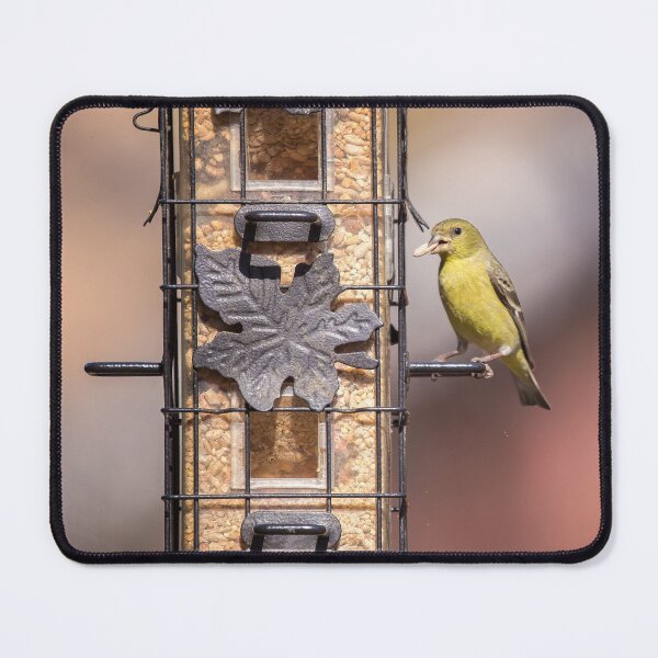 Item preview, Goldfinch Helps Himself To A Seed designed and sold by CarolM.
