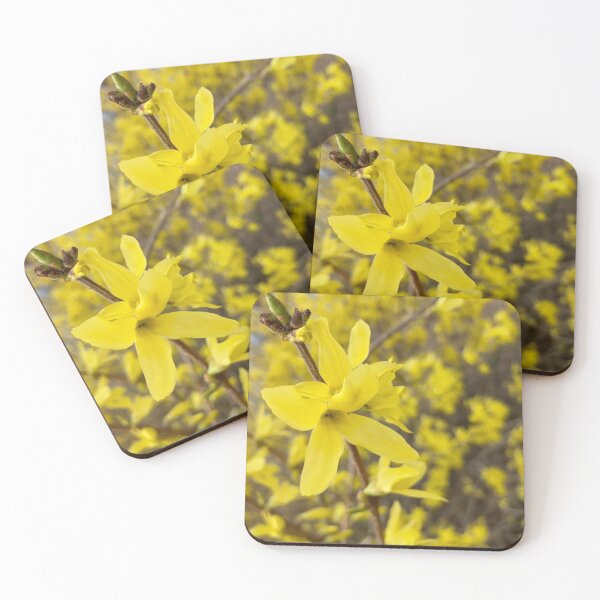 Item preview, Forsythia Closeup  designed and sold by Amanda1775.
