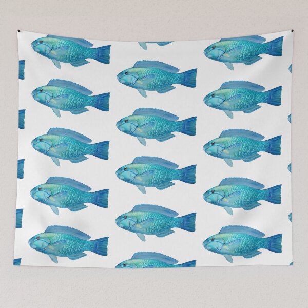Item preview, Parrot fish have acquired their name from the two front teeth they have designed and sold by wonderisland.